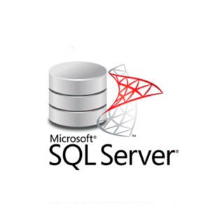 LICENCIA SQL SERVER 2010/2012/2013/2016/ 2017/2019 STANDARD RETAIL KEY (1 PC)