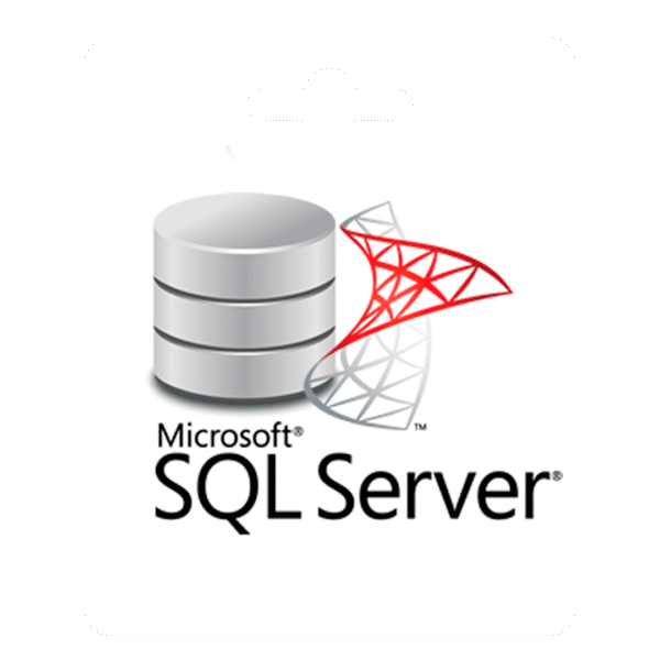 LICENCIA SQL SERVER 2010/2012/2013/2016/ 2017/2019 STANDARD RETAIL KEY (1 PC)